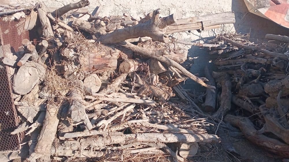 Otin sotiladi buxoro tuman gala osiyo mevazor kochasi 3 chi uy — 1