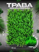 Самшитовый коврик для фитостены 60×40 см