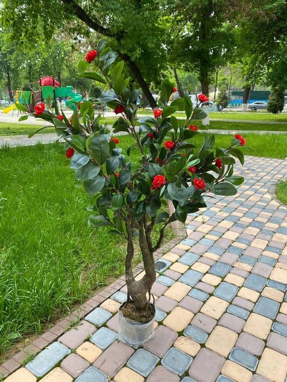 Искусственные деревья в горшках — 1