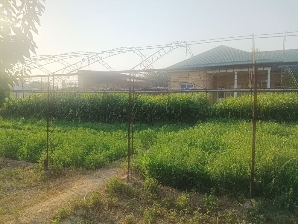 Parnik sotiladi 5 sotix — 1