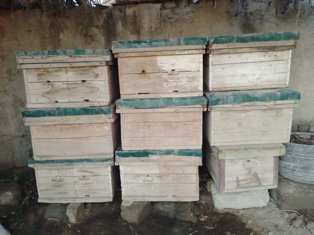 Asalari yashiklari sotiladi narxi 250000 kelshiladi koʻproq olinsa 200 — 1