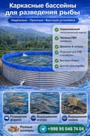 Каркасные бассейны для выращивания рыбы, сазана, форели