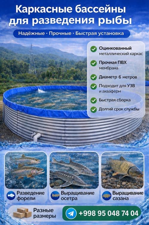 Каркасные бассейны для выращивания рыбы, сазана, форели — 1