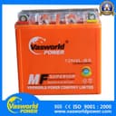 Аккумулятор геливый 12V/9Ah Vasworld Power. (Original)