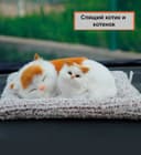 Спящые котята для автомобиля