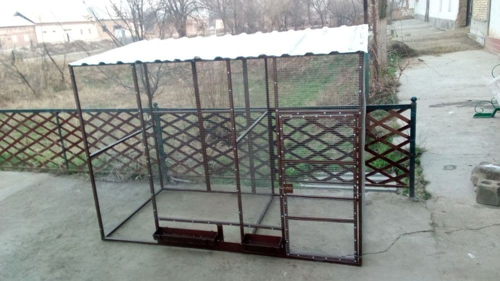 Товук катак сотилади — 1