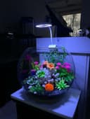 Akvarium baliqlar AquaTerra do'koni Magazin