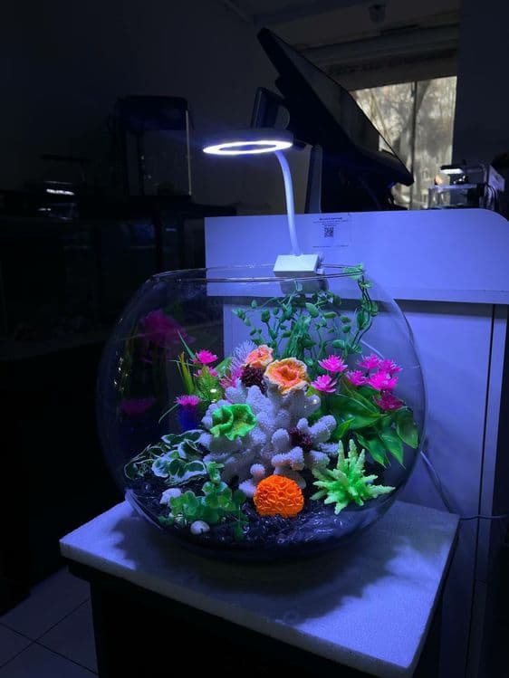 Akvarium baliqlar AquaTerra do'koni Magazin — 1