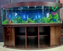 AKVARIUM 1.80 sm 1.30 sm xolati zur ..