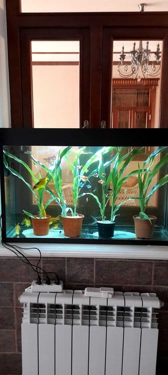 100 litr akvarium zavodskoy — 1