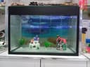 Akvarium uzinligi 65 sm boyi 45 sm eni 32 sm qalin oynadan bogan