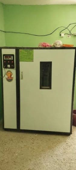 Inkubator 1000 talik — 1