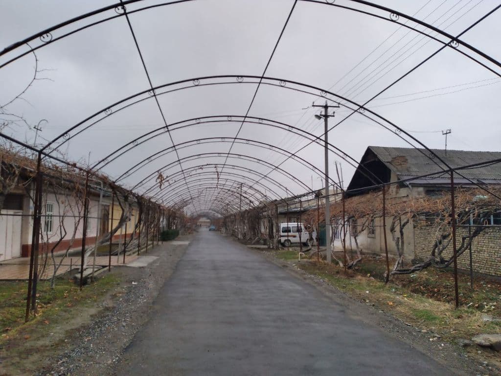 uzumvayish qurish xizmati — 1