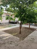 Продается Участка Яшнабадский Район 40-лет