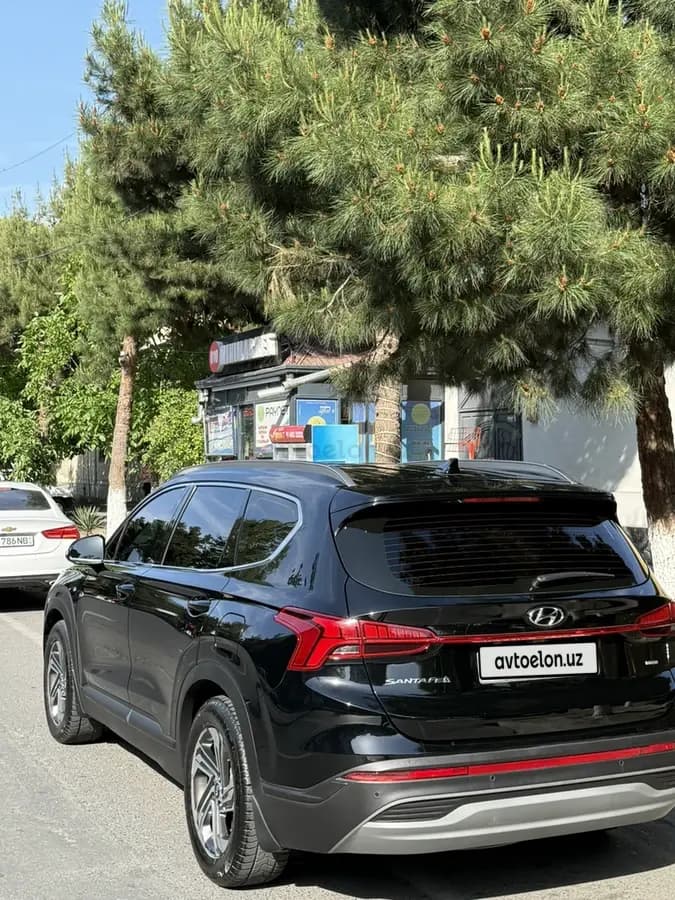 Hyundai Santa Fe 2022 — 1