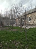 Ховли уй сотилади. Юқори Чирчиқ тумани. Саксанота МФИ Тоштуғизоқ махалласи