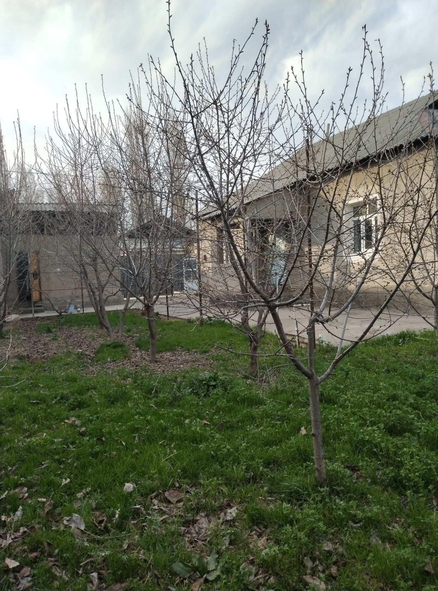 Ховли уй сотилади. Юқори Чирчиқ тумани. Саксанота МФИ Тоштуғизоқ махалласи — 1