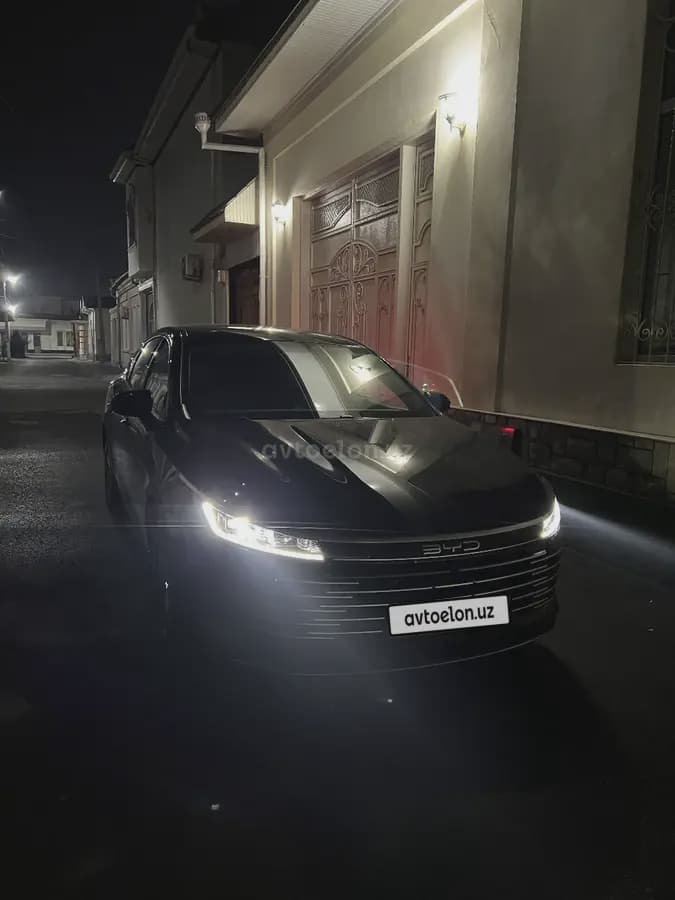 BYD Chazor 2024 — 1