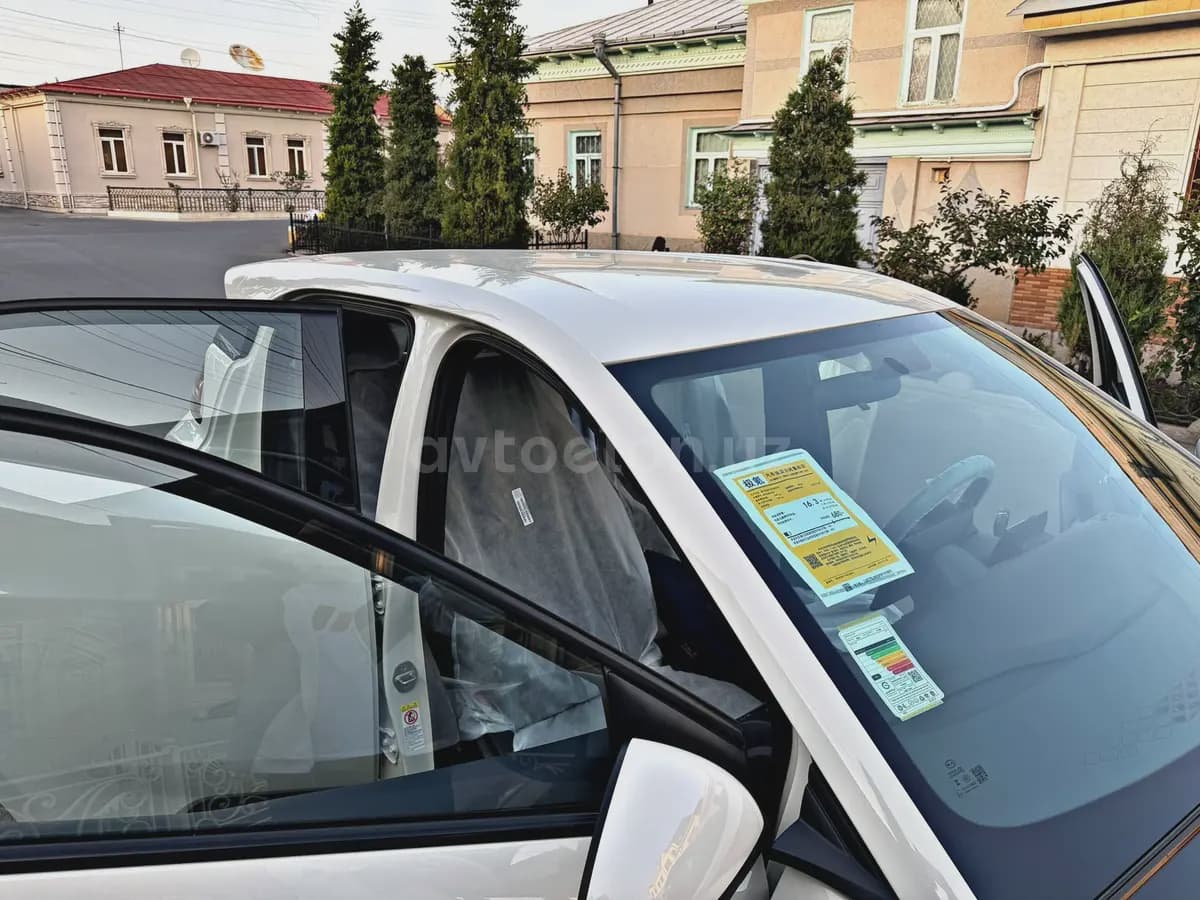 BYD Seagull 2023 — 1