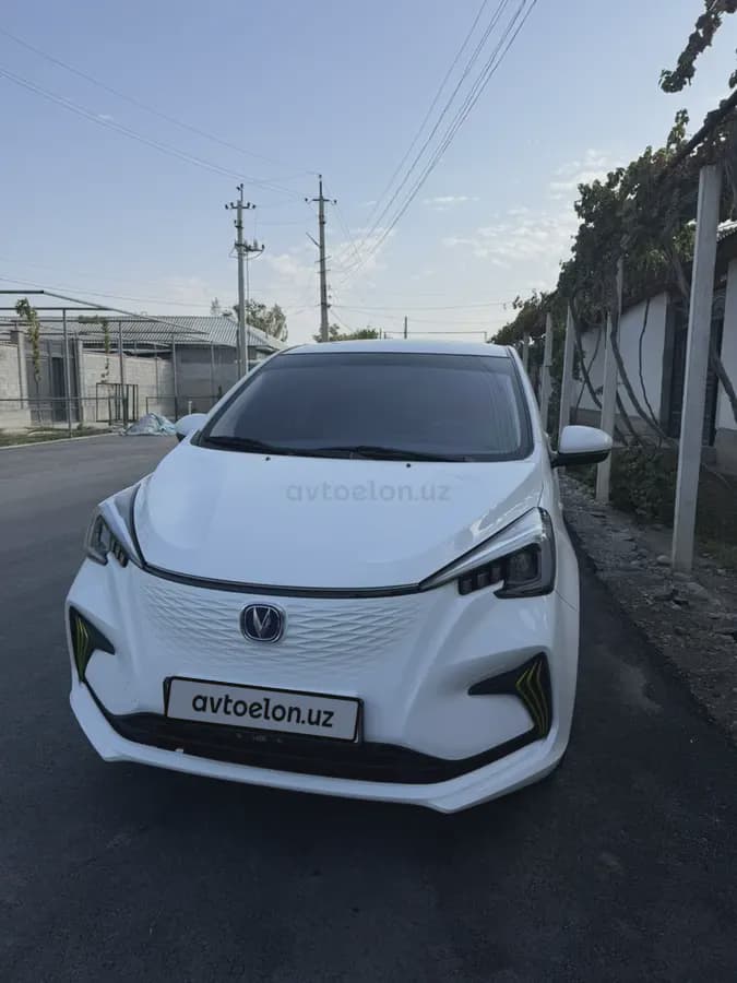Changan Benben E-Star 2023 — 1