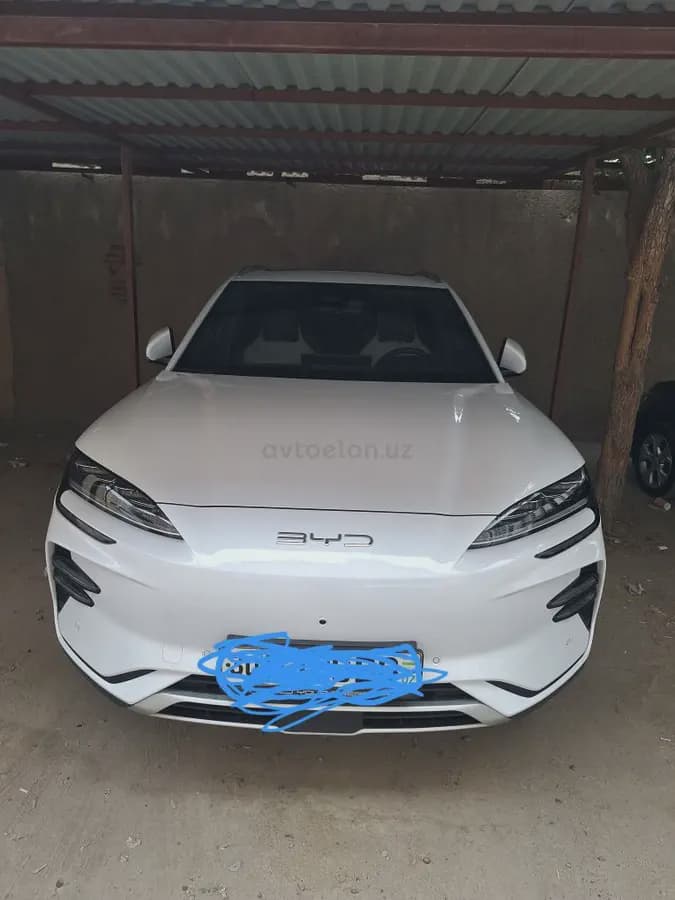 BYD Song Plus EV Champion 2024 — 1
