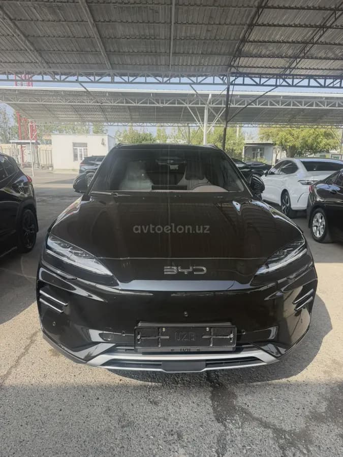 BYD Song Plus EV Champion 2025 — 1
