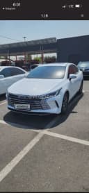 BYD Chazor 2024