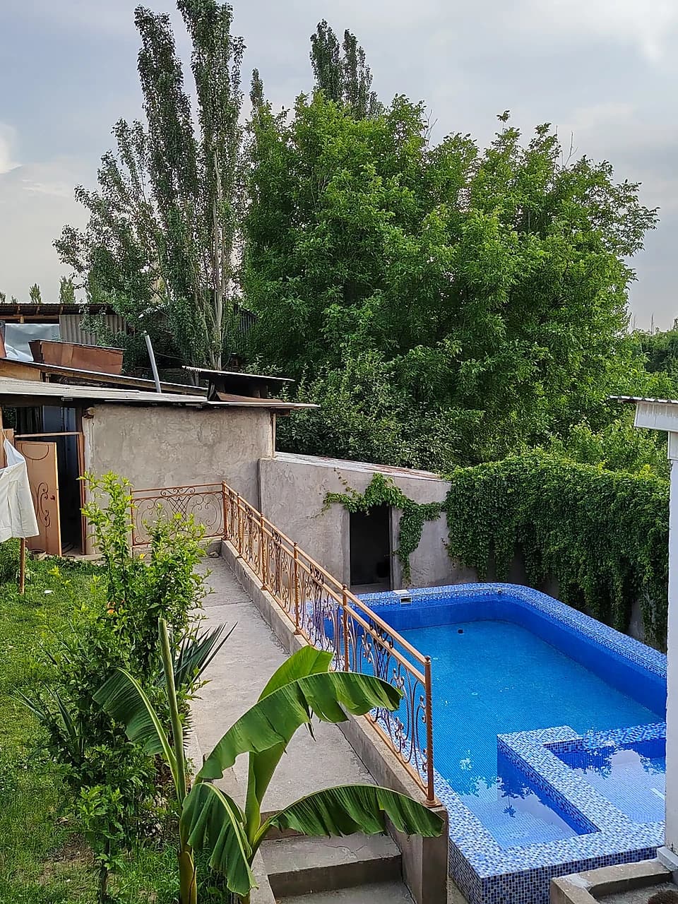 Dacha roxat — 1