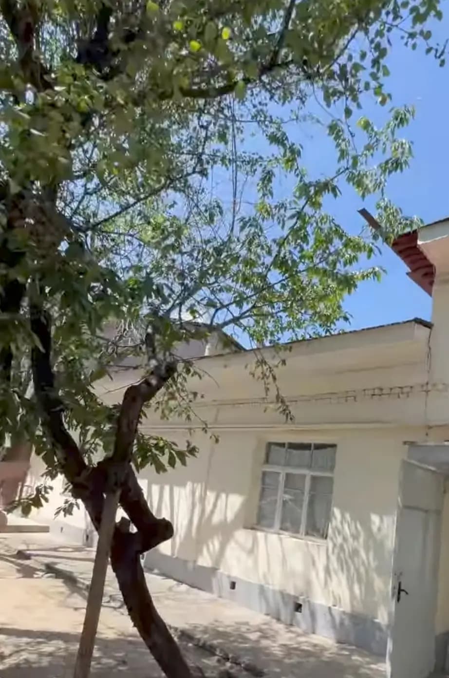 Olmozor Sebzor Reverani yonida navostroyka — 1